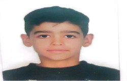 علیرضا غلامی