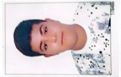 امیر حسین محمد بور