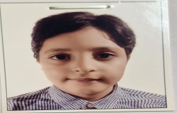 محمد مهدی محمدی