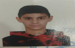 رادمان همتی اسلاملو