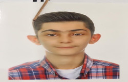 آراد جمالی