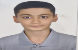 سینا باریکانی