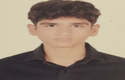 امیر علی قلجعه