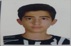 محمد طاها زارعی سینا