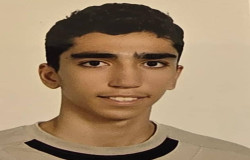 محمدپارسا برازنده