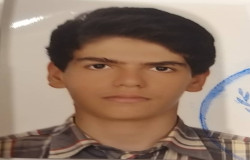 علیرضا فردی بیرانوند