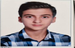 مهدی مصطفایی