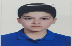 راد ابراهیمی داویجانی