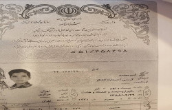 امیر رضا عابدی