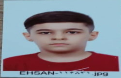 آریا آوجیان