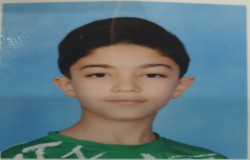 ایلیا شعبانی