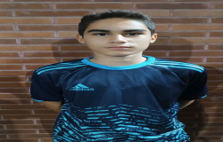 محمدحسین گلینی