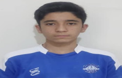 فردین احمدی