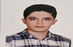 پارسا پناهی محمدی