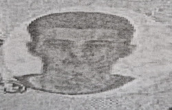 امین شمسی انبوهی