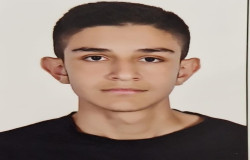 آرتین فرهادی