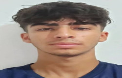 امیر عباس چهاردولی