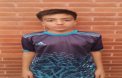 محمد نیک روش