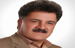 محمدرضا امامی