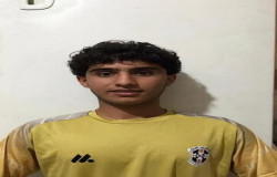 امیر محمد ورمزیار
