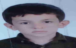 پوریا محمدی