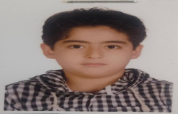 امیرمهدی بخشی