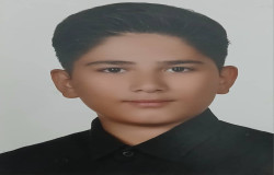 محمدسام زینالی آقچای