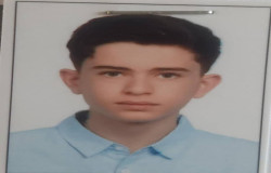 البرز تزوال