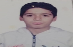 محمد حسین هیکلی