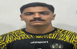 محمدحسین افسرده دولت آبادی