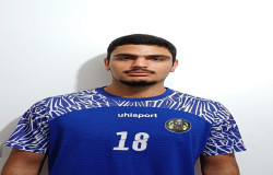 آریا نجم سهیلی