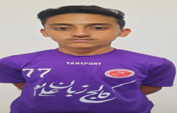 پارسا پرچمی