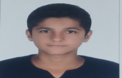 امیرعلی دره چناری