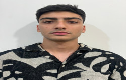 محمد رضا محمدی