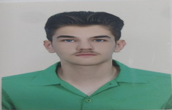 امیرعلی مسلمی