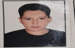 محمدحسین وکیلی