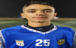 محمدطاها شیخی