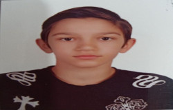 امیر محمد بادپا ناصر کیاده