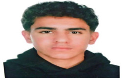 ایدین پولادی