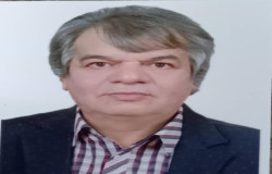 سید حسین کاووشی نسب