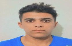 امیدرضا افشار