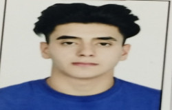 سید مهدی سیادتی