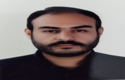 مرتضی حمزه پور