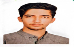 محمد مهدی زارعی