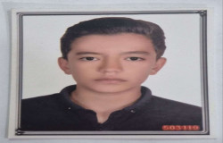 امیرعلی حسن زاده