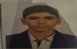 دانیال محامد