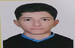 سید امیرعلی میرحسینی