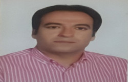 مجید توحیدی شندی