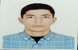 امین عرب گوئینی