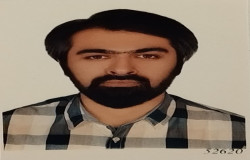 سید امیر محمد شهیدی